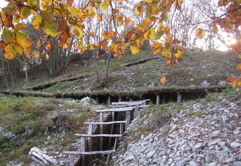 trinbcee Kolovrat